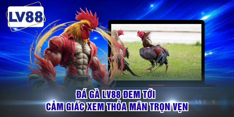 Đá gà LV88 đem tới cảm giác xem thỏa mãn trọn vẹn